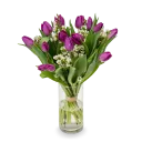 Bouquet of purple tulips